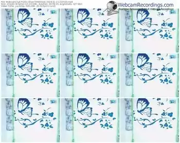 webcamclub-melloody-webcam-show-01_13_2018-21_00_23