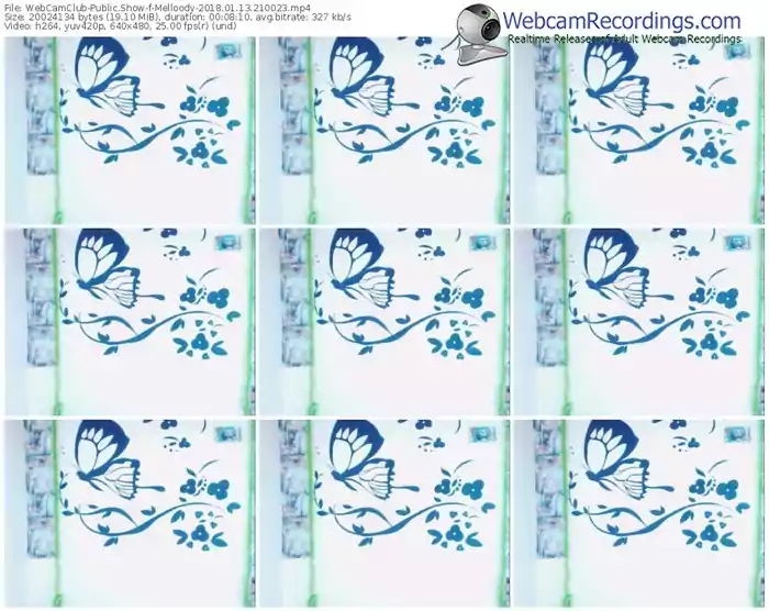webcamclub-melloody-webcam-show-01_13_2018-21_00_23