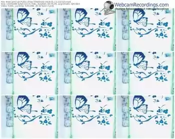 webcamclub-melloody-webcam-show-01_13_2018-21_15_23