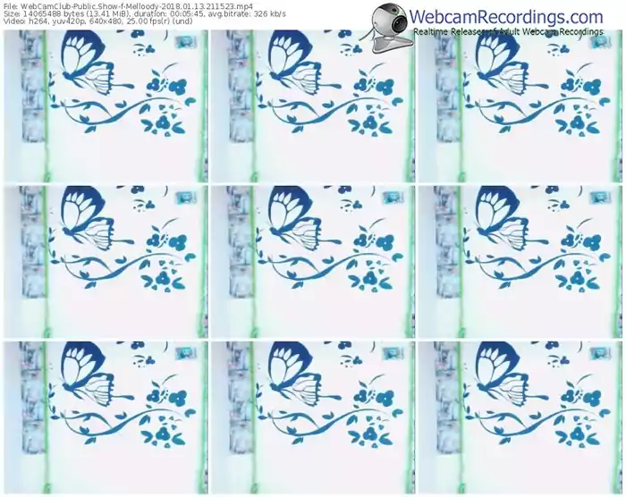 webcamclub-melloody-webcam-show-01_13_2018-21_15_23