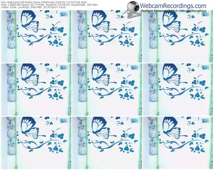 webcamclub-melloody-webcam-show-01_13_2018-22_15_24