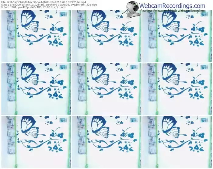 webcamclub-melloody-webcam-show-01_13_2018-22_25_24