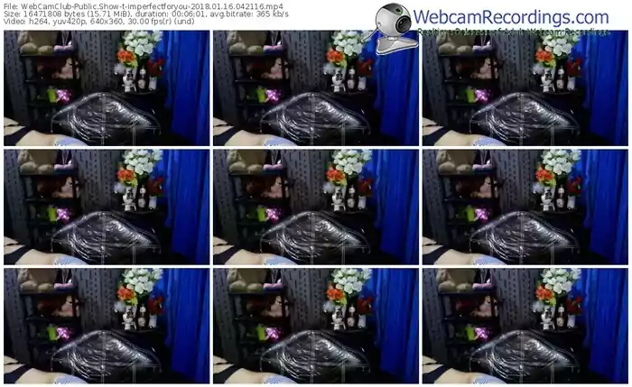 webcamclub-imperfectforyou-webcam-show-01_16_2018-04_21_16