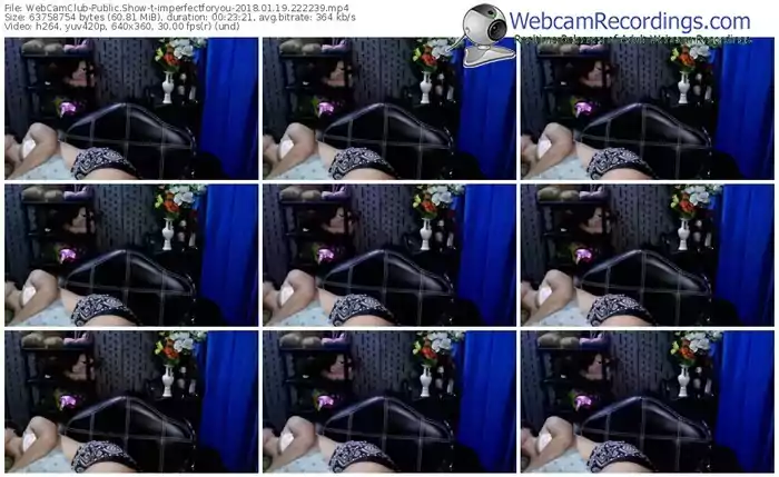 webcamclub-imperfectforyou-webcam-show-01_19_2018-22_22_39