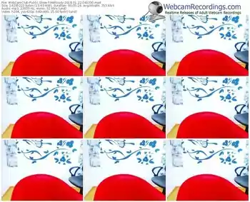 webcamclub-melloody-webcam-show-01_22_2018-04_03_30