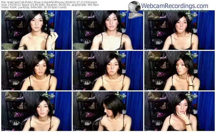 webcamclub-imperfectforyou-webcam-show-01_27_2018-11_15_30