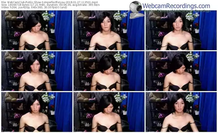 webcamclub-imperfectforyou-webcam-show-01_27_2018-11_35_31