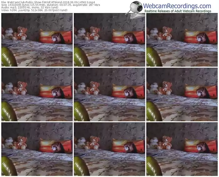 webcamclub-wildcatblond-webcam-show-06_09_2018-14_56_13