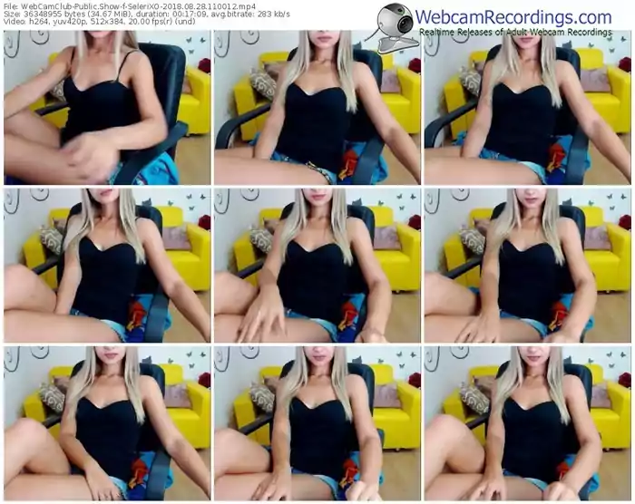 webcamclub-selerixo-webcam-show-08_28_2018-11_00_12