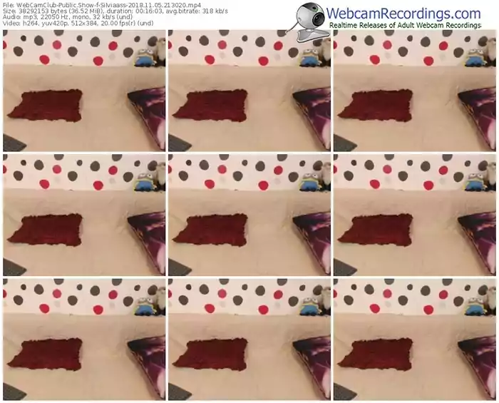 webcamclub-silviaass-webcam-show-11_05_2018-21_30_20