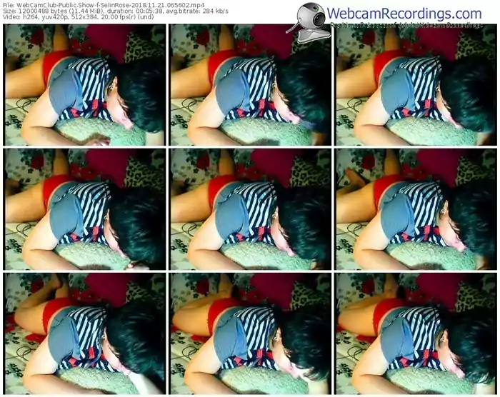 webcamclub-selinrose-webcam-show-11_21_2018-06_56_02