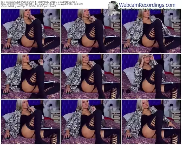 webcamclub-missbarbie-webcam-show-11_23_2018-10_16_55