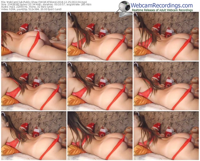 webcamclub-wildcatblond-webcam-show-12_25_2018-06_11_04