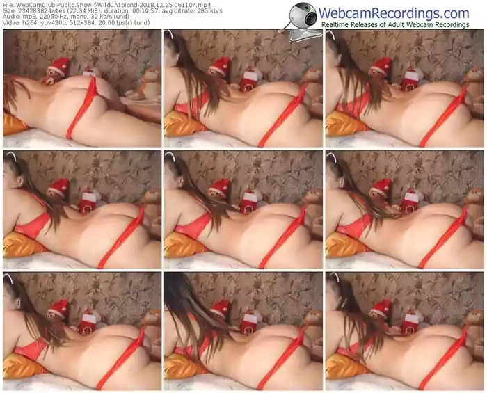 webcamclub-wildcatblond-webcam-show-12_25_2018-06_11_04