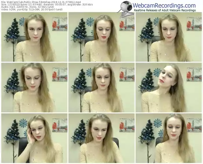 webcamclub-estellaa-webcam-show-12_31_2018-07_38_12