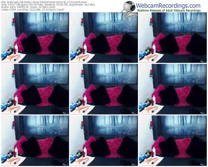 webcamclub-keilyforest-webcam-show-01_13_2019-01_16_35