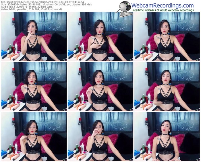 webcamclub-keilyforest-webcam-show-01_13_2019-07_06_41