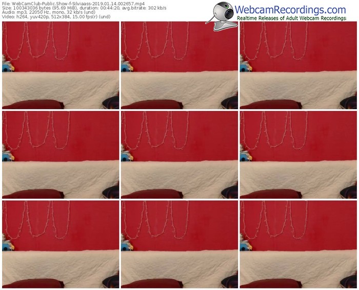webcamclub-silviaass-webcam-show-01_14_2019-00_26_57