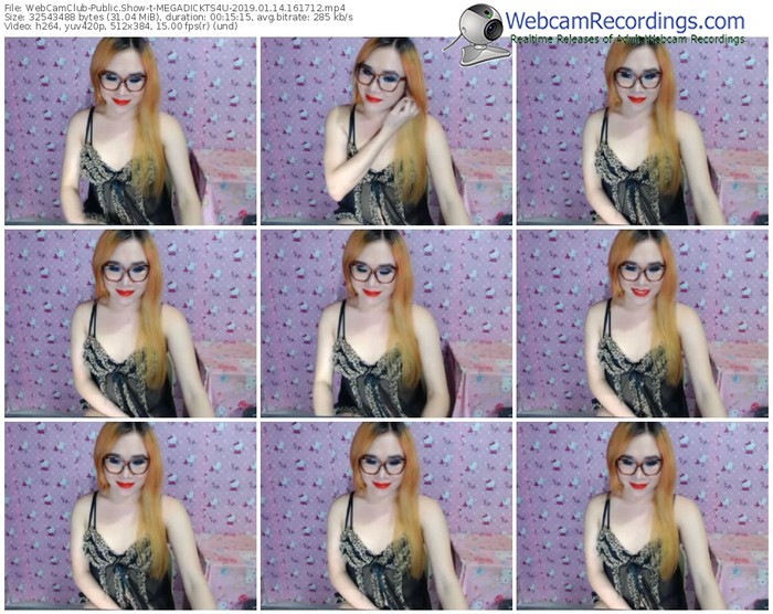 webcamclub-megadickts4u-webcam-show-01_14_2019-16_17_12