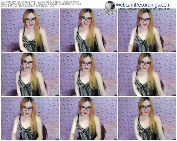 webcamclub-megadickts4u-webcam-show-01_14_2019-16_37_13