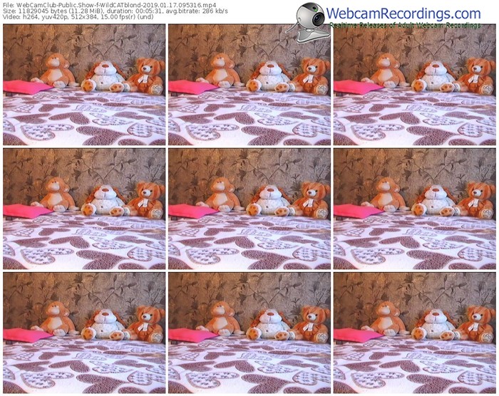 webcamclub-wildcatblond-webcam-show-01_17_2019-09_53_16