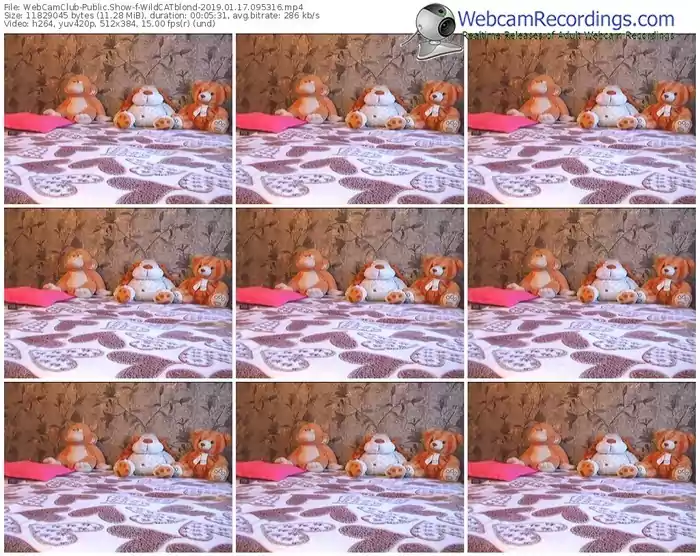 webcamclub-wildcatblond-webcam-show-01_17_2019-09_53_16