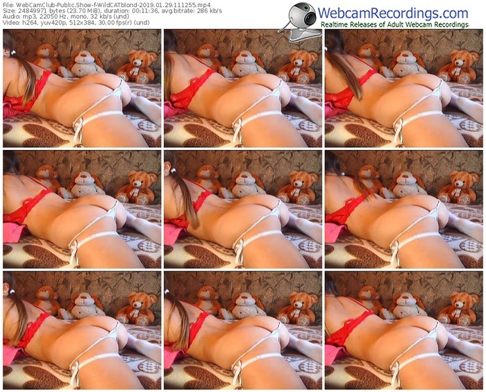 webcamclub-wildcatblond-webcam-show-01_29_2019-11_12_55