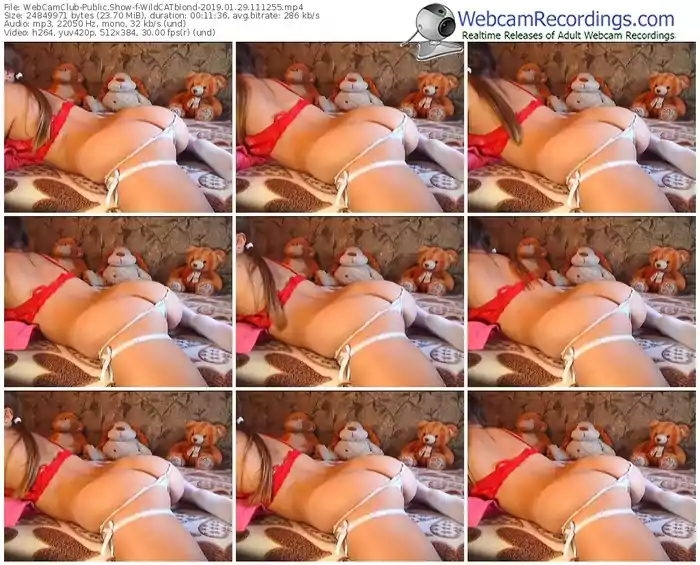 webcamclub-wildcatblond-webcam-show-01_29_2019-11_12_55