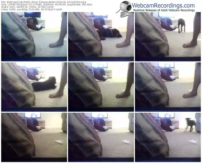 webcamclub-jhaneydolph-webcam-show-01_30_2019-02_02_59