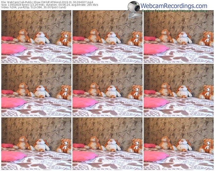 webcamclub-wildcatblond-webcam-show-01_30_2019-09_43_07