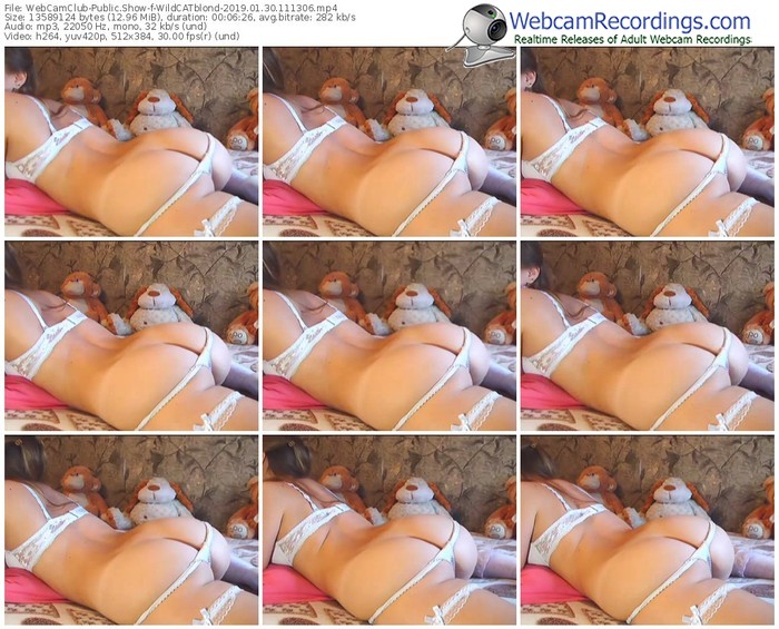 webcamclub-wildcatblond-webcam-show-01_30_2019-11_13_06