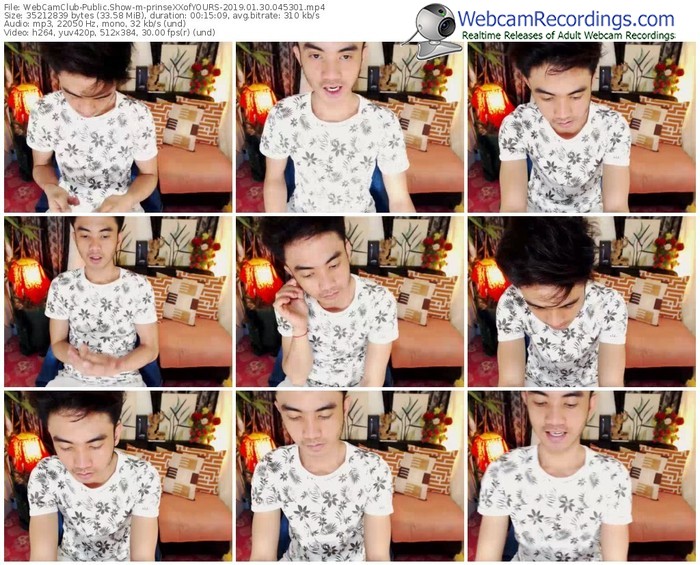 webcamclub-prinsexxofyours-webcam-show-01_30_2019-04_53_01