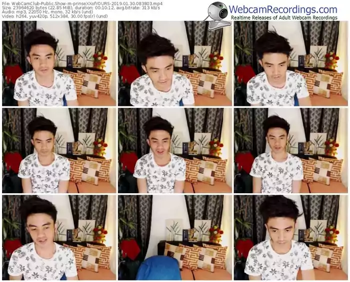 webcamclub-prinsexxofyours-webcam-show-01_30_2019-08_38_03