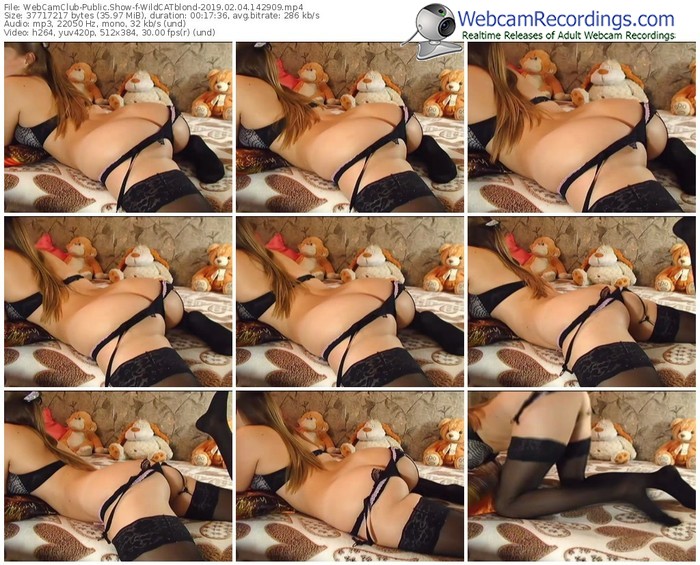 webcamclub-wildcatblond-webcam-show-02_04_2019-14_29_09
