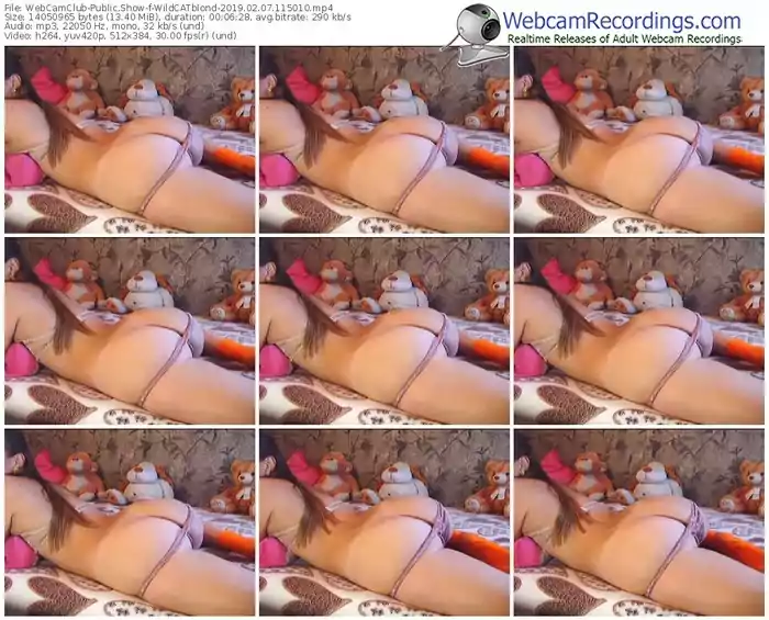 webcamclub-wildcatblond-webcam-show-02_07_2019-11_50_10