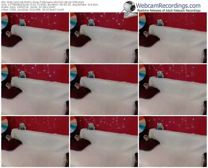 webcamclub-silviaass-webcam-show-02_08_2019-21_15_46