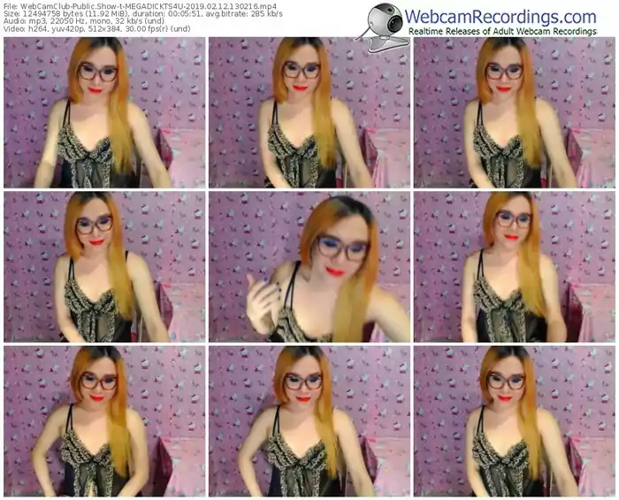 webcamclub-megadickts4u-webcam-show-02_12_2019-13_02_16