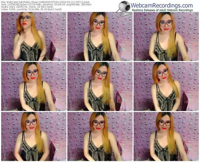 webcamclub-megadickts4u-webcam-show-02_12_2019-13_57_12
