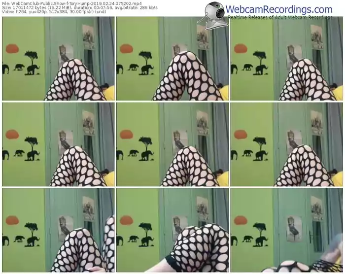 webcamclub-toryhump-webcam-show-02_24_2019-07_52_02