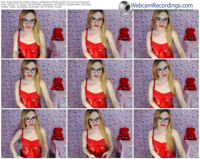 webcamclub-megadickts4u-webcam-show-02_24_2019-10_12_02