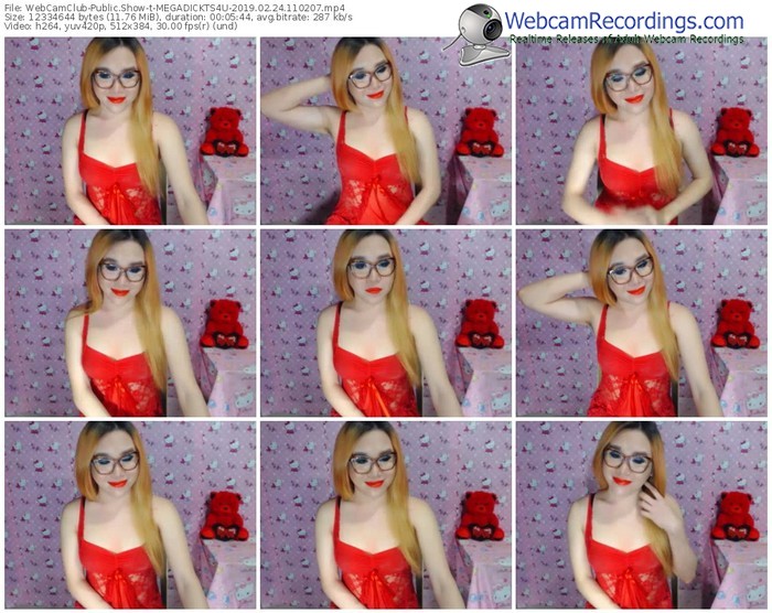 webcamclub-megadickts4u-webcam-show-02_24_2019-11_02_07