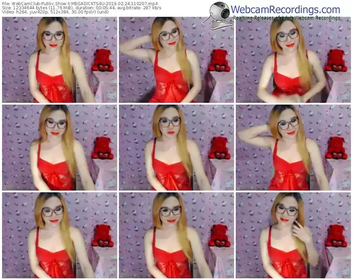 webcamclub-megadickts4u-webcam-show-02_24_2019-11_02_07