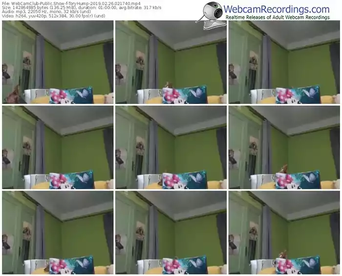 webcamclub-toryhump-webcam-show-02_26_2019-02_17_40