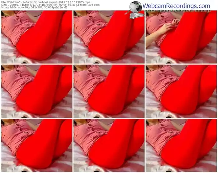 webcamclub-bellesquirt-webcam-show-02_26_2019-14_38_05