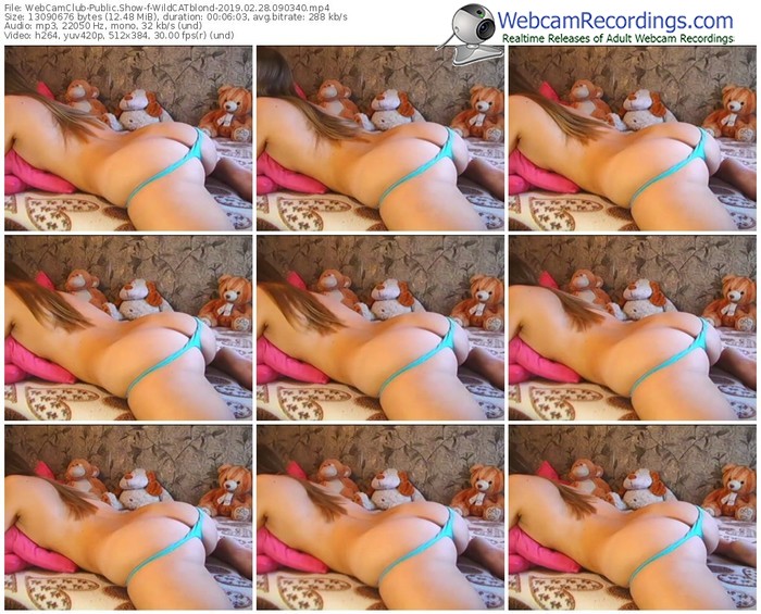 webcamclub-wildcatblond-webcam-show-02_28_2019-09_03_40