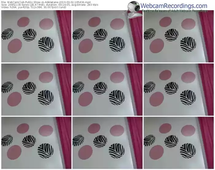 webcamclub-adelakane-webcam-show-03_02_2019-16_54_34