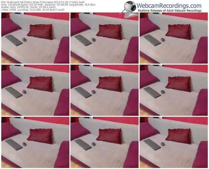 webcamclub-silviaass-webcam-show-03_28_2019-17_24_31