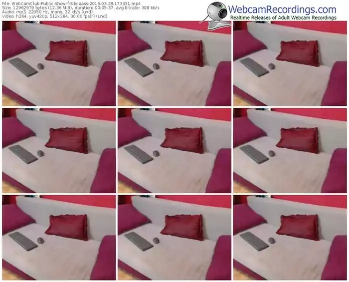webcamclub-silviaass-webcam-show-03_28_2019-17_34_31