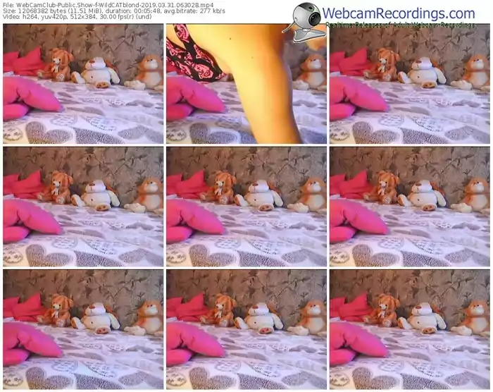 webcamclub-wildcatblond-webcam-show-03_31_2019-06_30_28