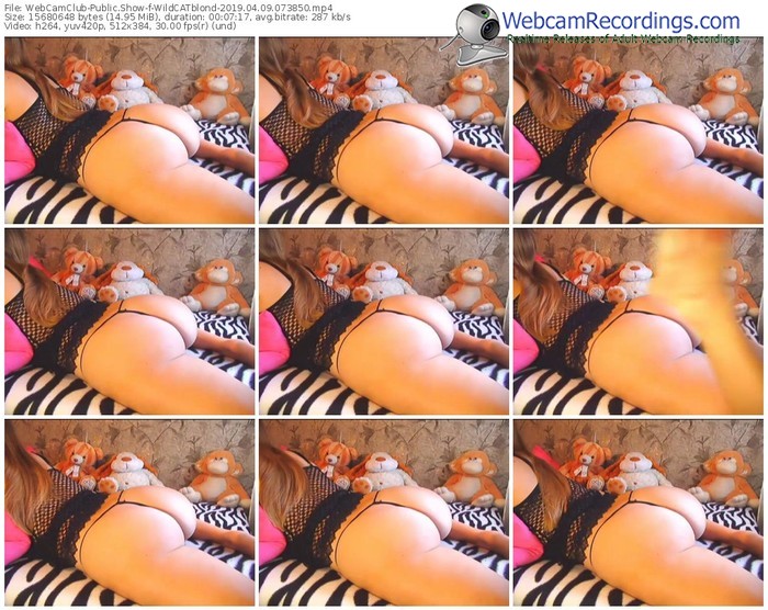 webcamclub-wildcatblond-webcam-show-04_09_2019-07_38_50